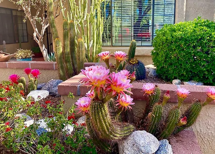 Getaway W/ Patio, Bbq & Mountain Views! * Oro Valley