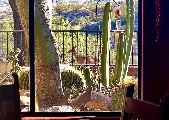 Getaway W/ Patio, Bbq & Mountain Views! Oro Valley